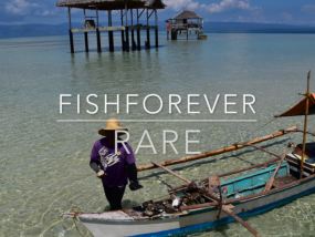 Fishforever - RARE Tañon Strait